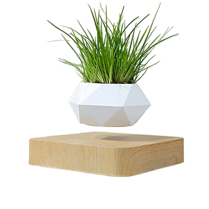 Floating Levitating Magnetic Plant Pot
